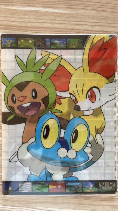 宝可梦X/Y 的主角卡鲁姆/莎莉娜，以及卡洛斯地区的代表宝可梦如御三家哈力栗、火狐狸、呱呱泡蛙，神兽哲尔尼亚斯、伊裴尔塔尔，仙子伊布、顽皮熊猫 非常漂亮文件夹，感谢挖煤姬代购