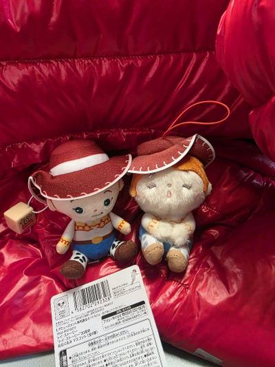 很多日本的努努都是可以走竹蜻蜓专线的，在购买的时候也要注意重量。
挖煤姬的汇率都是实汇，推荐大家一边关注汇率一边决定下单时机，这样的话会特别划算。