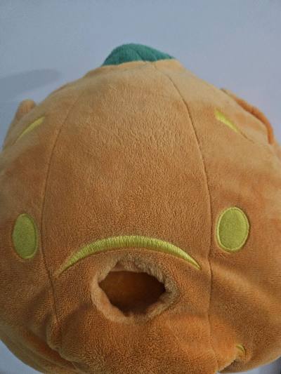 任意门初次使用分享