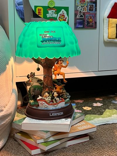 这次买到了一盏很稀有的丛林大冒险的台灯，除了有点小灰尘一切都很可以，然后还买了别的一些小杂物周边，物流超级快～