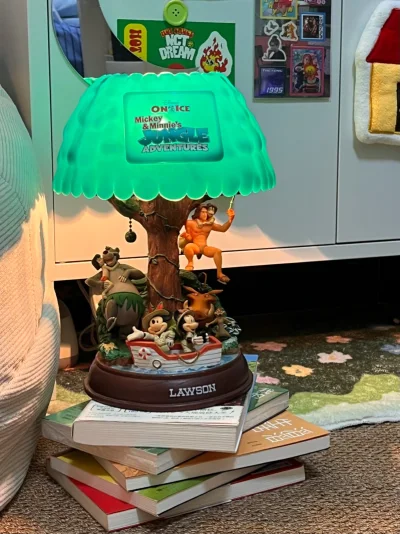 这次买到了一盏很稀有的丛林大冒险的台灯，除了有点小灰尘一切都很可以，然后还买了别的一些小杂物周边，物流超级快～