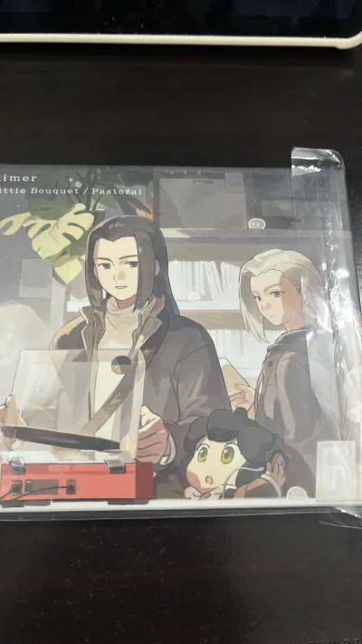 等待两周的跨洋包裹终于到手。撕开塑封的瞬间，纸墨香混合光盘的反光扑面而来——这份实体音乐的仪式感，连音质细节都仿佛比数字版更暖。海淘CD的快乐，在于把对音乐的珍重亲手捧在掌心。