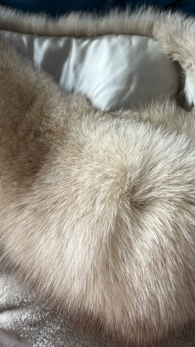 这是我第一次使用挖煤姬～～
?挖煤姬是一个跨境转运平台，定位是日本海淘一站式转运服务商。特别值得夸赞的是：挖煤姬界面简洁明了，操作简单。切煤十分便利。

?我一直想购物狐狸毛衣服，这次购入了一个SAGA FOX的披肩和一件毛衣，搜索关键词就可以快速找到心仪的产品，真...