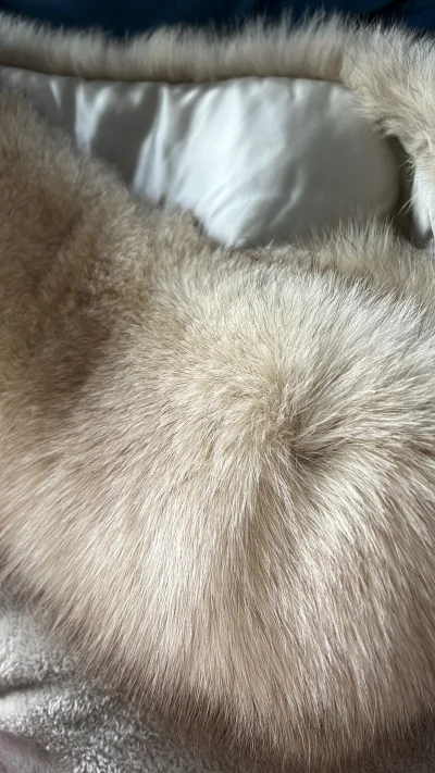 这是我第一次使用挖煤姬～～
?挖煤姬是一个跨境转运平台，定位是日本海淘一站式转运服务商。特别值得夸赞的是：挖煤姬界面简洁明了，操作简单。切煤十分便利。

?我一直想购物狐狸毛衣服，这次购入了一个SAGA FOX的披肩和一件毛衣，搜索关键词就可以快速找到心仪的产品，真...