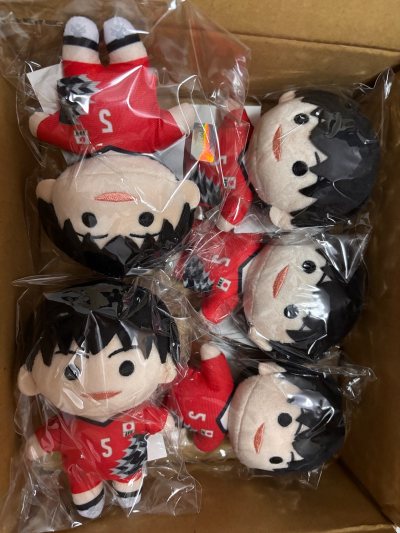 从下单到收货的整个过程体验也非常好。包装非常仔细，内外两层缓冲材料，娃娃打包得很好，完全没有运输损伤。客服回复及时且耐心，帮我确认了商品细节。物流速度也比想象中快，全程可追踪，让人很放心。

总之这次购物非常满意，既收到了心仪的娃娃，也感受到了平台专业细致的服务。