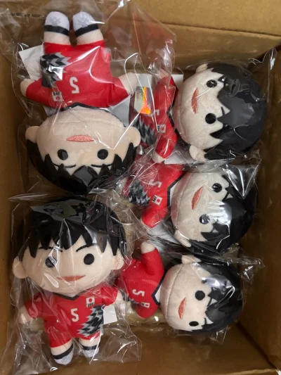 从下单到收货的整个过程体验也非常好。包装非常仔细，内外两层缓冲材料，娃娃打包得很好，完全没有运输损伤。客服回复及时且耐心，帮我确认了商品细节。物流速度也比想象中快，全程可追踪，让人很放心。

总之这次购物非常满意，既收到了心仪的娃娃，也感受到了平台专业细致的服务。