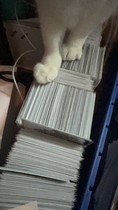 挖煤姬真的是挖大限周边的宝藏平台！这次收了成员们的杂志大限写真，纸质厚实不反光，照片色彩鲜亮，连细节都拍得超清晰。卖家标注的 “全新未拆” 一点不假，塑封完整，边角尖尖的没有一点折痕。平台合单超方便，攒了好几本一起转运，还能自主减重去掉多余包装，省下不少运费。客服回...