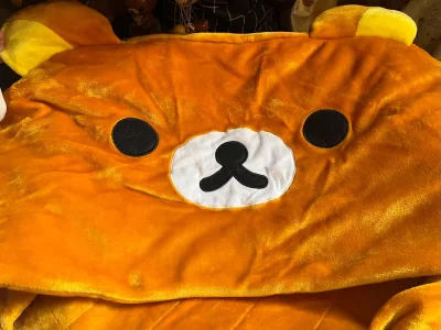 这次购入的周边单品被子，到手很大一箱包裹。实物比想象中还要大，很暖和非常舒适！这箱只运的物品体积超大+很重 所以选的物流路线是海运，发货到收货21天到达。之前一直走空运，没想到海运居然也那么快到。过关也很丝滑，非常高效率！仓库打包一如既往的好，塞了泡沫纸很安心呢。购...