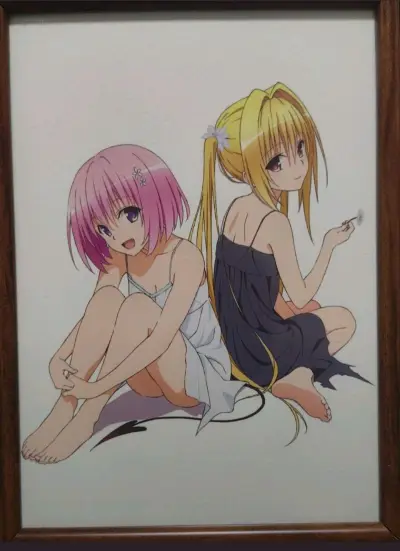 观察力1个月的战果，其中稀有的juicy，跟木质画可谓是稀有中的稀有，维纳斯也是俩位数以内购买的，分享的这些也只是一半，果然海淘宝不少，但是相应的也是把双刃剑