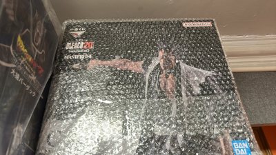 谁能想到更木剑八会出两版，第一次抗刀剑八个人感觉也很不错，但是新出这款性价比很高，谁能想到死神的企划做的还是很不错的，还买了很多在路上，期待