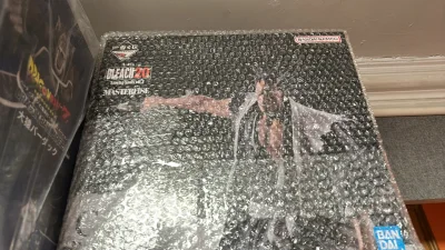 谁能想到更木剑八会出两版，第一次抗刀剑八个人感觉也很不错，但是新出这款性价比很高，谁能想到死神的企划做的还是很不错的，还买了很多在路上，期待