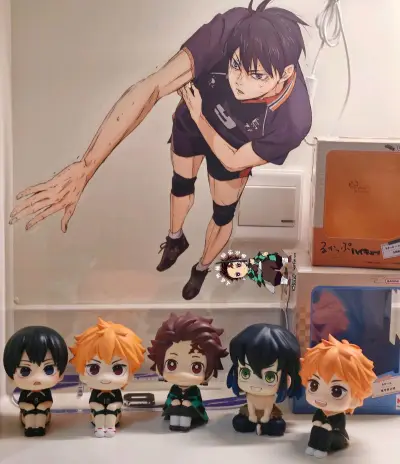 非常之好的购物体验，绝赞！！挖煤姬的购买和搜索都很好用，非常好的APP，已经下单另两款lookup了，期待合单发货～