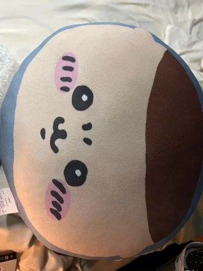 非常好的切煤购物体验，站内的教程很详细，运费介绍也很全。大家可以根据介绍选择物流，ems物流速度是真快，八天左右就到手，快递拿到的时候很惊喜！包装很严实，用心。