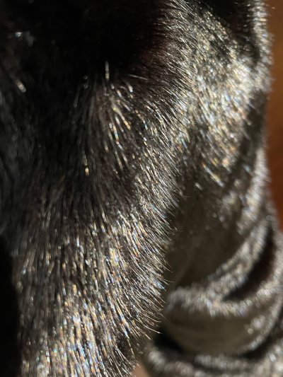 衣服质量很好，做工精细，面料柔软轻便。版型正，实物比图片还好看，尺码标准，性价比很高，很满意的一次购物！