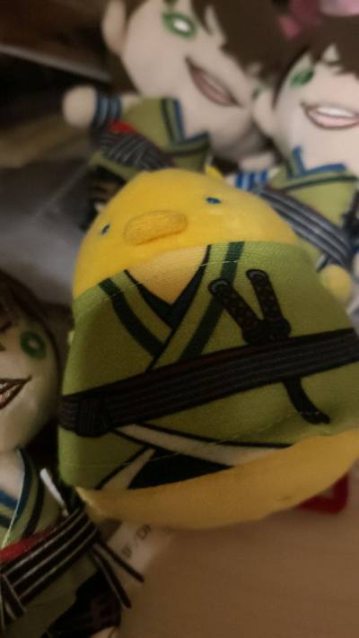 挖煤姬切的宝贝终于到货 品相完美没踩雷，这波等待太值了 拆开一看状态超棒
开箱的快乐谁懂啊，品相和预期一样好，挖煤姬太靠谱啦!