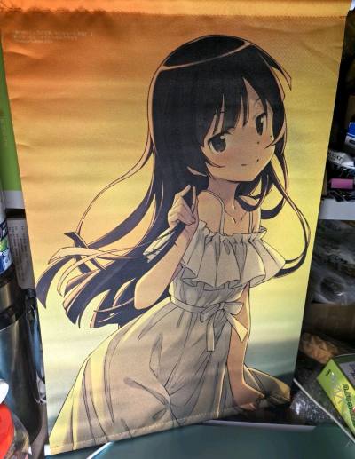 好价切到了非常可爱的挂画，虽然不大但是非常貌美。
挖煤姬打包依旧给力，没有任何运输问题。
竹蜻蜓方便好用，提交审核到拿到手上两周内就能搞定，还很便宜，还会继续使用