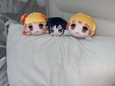 这次通过平台购买的《鬼灭之刃》趴趴玩偶真的太让人惊喜了！做工超级精致，角色表情还原度超高，软乎乎的面料摸起来特别舒服，抱在怀里大小也刚刚好，简直是次元壁破了的感觉～平台服务也必须夸夸，虽然人在日本，但物流速度比预期快很多，包装得特别仔细，完全没有损坏，客服回复也很及...