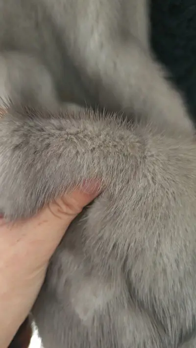 非常好使我的大脑旋转，价格非常非常便宜，质量也很好，摸上去非常柔软，物流也很及时，大概一周左右就收到了