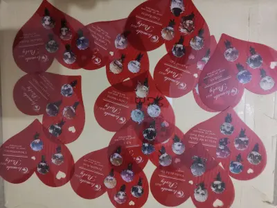 挖煤姬包装很严实，拿到手发现印刷很清晰，柄图非常精致！两款都是一整套的，最重要的是价格非常美丽！！本次合单和发货速度都很快，物流信息更新得也很及时，全程都能清楚看到包裹的运输状态，单机切煤也非常安心，会推荐给朋友使用的！