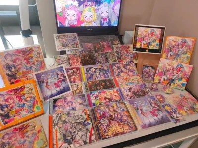 一次性切十几张碟回来太爽了，均价才二十开头
走ems的话cd二十张以内免税
美美好价全收集ws十一单和三翻唱