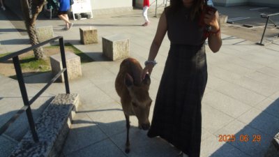 很好的购物体验！