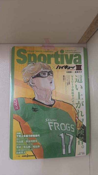这次买到的《Sportiva × 排球少年！！》Ⅲ联动系列太惊喜了！左边是同柄图的垫板，右边是小说本体，封面是月岛萤在仙台FROGS队的17号球衣造型，画风细腻又充满张力，完美还原了角色的成长感。平台发货速度超快，包装也很严实，到手没有一点折损，购物体验满分?！