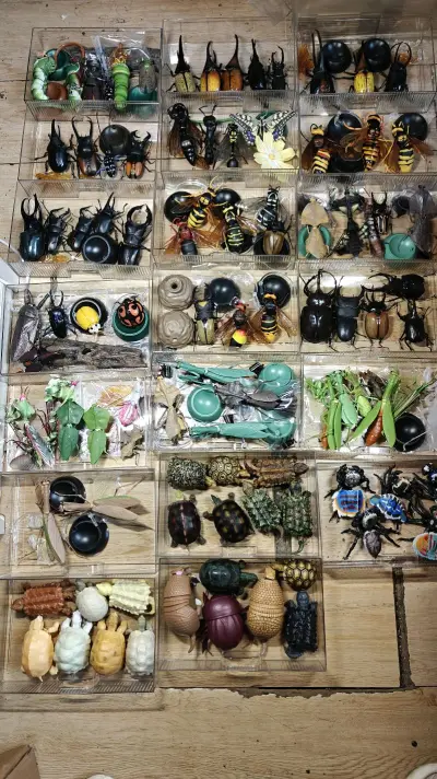 东西很棒很赞很喜欢，很稀有，买的是万代的生物大图鉴系列，里面有不少昆虫模型，可动的哦，很赞，很棒，把玩合适可以送给朋友也很喜欢超级赞好