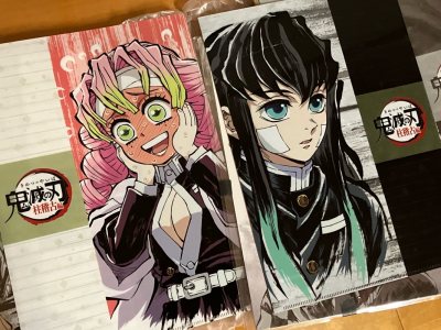 第一次用挖煤姬切谷太惊喜了！包装超级用心，层层气泡膜裹得严严实实，谷子完好无损。竹蜻蜓物流速度快，追踪信息清晰。文件夹本身质感绝佳，印刷清晰色彩亮丽，完美还原！一次满分体验，会一直回购的！