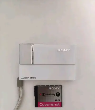 这次在挖煤姬切了索尼和奥林巴斯的ccd相机，奥林巴斯的相机不错，索尼的特别新，奶白色非常好看，功能还完好，很幸运在挖煤姬好价切到，挖煤姬打包很严实，物流走的可追踪小航空，发货后一周左右收到，非常迅速