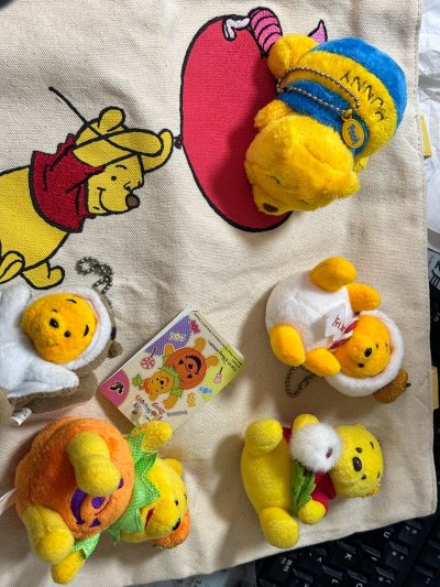 在挖煤姬购买很多次，总是能淘到非常不错东西，价格划算，运费便宜，这次淘到喜欢的玩偶，状态超好，包装也很好，选择竹蜻蜓专线运输，25天就到手，包装特别严实，服务不错。