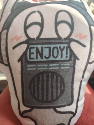 速度依旧很迅速。买到了自己很想买的抱枕和香膏。立牌也买到了最后一个我一直没买的款式，终于集齐了全图鉴。