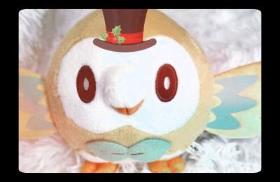 挖煤姬好用的议价功能，卖家直接同意了。好价得到了一堆小玩具。可爱的木木枭，帅气的风速狗，实用的卡比兽包包，还有一堆可爱的玩具。展示。