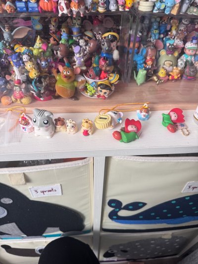 又是美好的收获的一天！每次都很期待到货的时候，看到买到的心头好，开心的不得了！希望挖煤姬能完善下给卖家留言功能，现在只能固定的留言格式，想要自己打字留言不行！