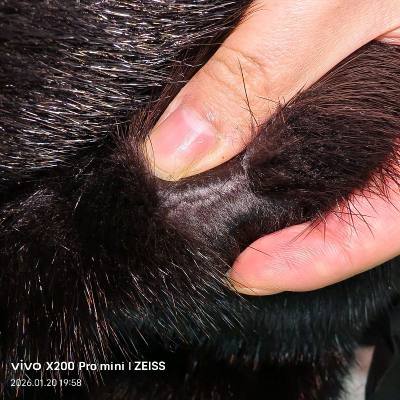 我爱挖煤姬这件真的太满意了皮板柔软未使用品！！！价格合适我会一直使用挖煤姬让我买到中意的物品挖煤姬真的太棒啦！！！