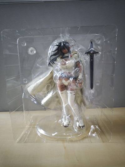 BASTARD!!－バスタード－ 安雪丝・奈伊（通常版） 
中古手办性价比很高，非常好的购物体验，值得推荐，也算是捡漏了