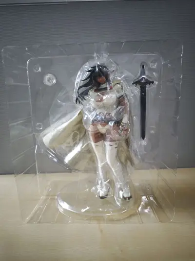 BASTARD!!－バスタード－ 安雪丝・奈伊（通常版） 
中古手办性价比很高，非常好的购物体验，值得推荐，也算是捡漏了