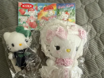 挖煤姬是一个日切平台可以用积分抵扣运费，而且每天都有优惠券可以领手续费也不算很贵，快递速度很快包裹也填充的很满很结实到货都是无损的不用担心出问题。我这次购买的Kitty全部安全到家啦，之后还会在挖煤姬继续购买的。