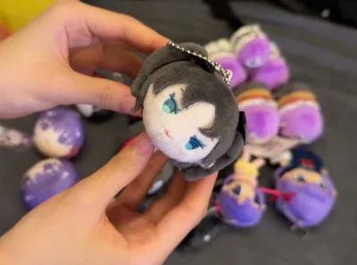 这是用挖煤姬在骏河屋淘到的中古好货——是fate系列的毛绒玩偶和贴纸套装，角色是我最喜欢的远坂凛和间桐樱这对姐妹，小小一个真的好可爱哈哈哈！这个贴纸是生肖老虎的，也非常可爱！！这单走的是竹蜻蜓物流，非常快速，很好用！