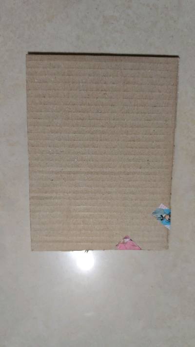 一月切煤成功分享