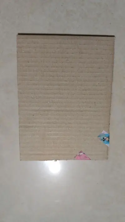 电锯人蕾塞篇特典里最满意的就是第五弹，看到煤炉上有好价果断出手切煤，包装特别牢固，还有硬纸板保护，满意，好评！