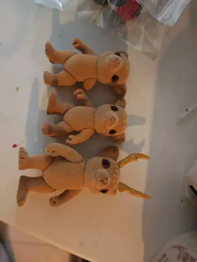 刚看到就买了，运费也还可以，而且空运没有损坏，很满意，整体很好。希望下次还能碰到更合适的价格，很好的体验