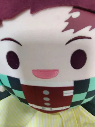 这次选择的是竹蜻蜓专线，优点是便宜，速度还行。我是急着收货所以没有合单，要是合单的话会更划算哦，可选择的物流还是蛮多的，分享一下，我买的炭治郎圆滚滚，这个特别大只，摸起来手感也很好！脸也特别可爱QAQ，买来和善逸放一起₍˄·͈༝·͈˄*₎◞ ̑̑