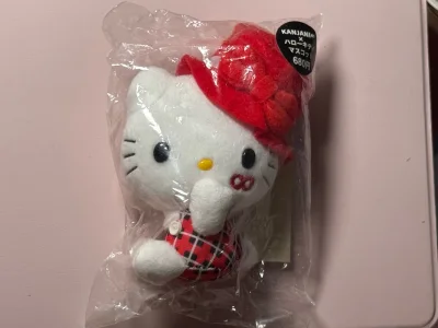 第一次使用挖煤姬这个软件，切煤非常及时，有问题联系客服也有很快的回复，竹蜻蜓的运送速度比想象中快很多，收到自己心仪的kitty啦