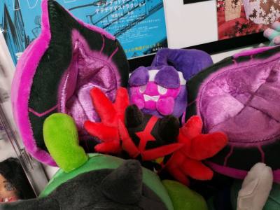 低价捡到了想要的蕾冠王万圣款和新出的毒歹郎毛绒超开心?，吊牌也都完好保存送到，以及一个三丽鸥联动挂件，也是非常喜欢的款式，感谢挖煤姬。