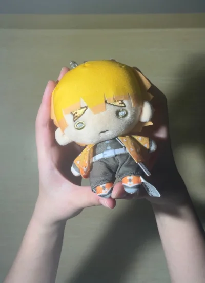 挖煤姬是海淘宝藏工具，我通过它入手了一些好价毛绒挂件，很可爱。平台打包用心，防震材料分层固定，物流节点清晰，虽然走ems单号重号物流花了一些时间，但还是平安收到！