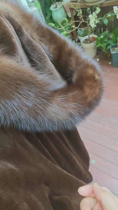 非常好的一件，很漂亮，特别是帽子，很喜欢，虽然价格不便宜，但是也值得了。
等了这么久，终于收到，物流有点慢。