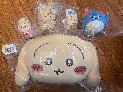 这一次走的船运，因为b赏比较大，一个月到货，速度比想象中要快，顺利清关完成，打包非常严实，娃娃超级可爱，感谢挖煤姬！！