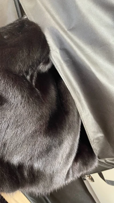 第一次在挖煤姬购物就捡了个大漏 真的太香了 全程购物体验都很顺畅 有问题找客服也会一一为你解答 包裹物流都很快 收到时完好无损 品相决绝子 没得说 一个字爽