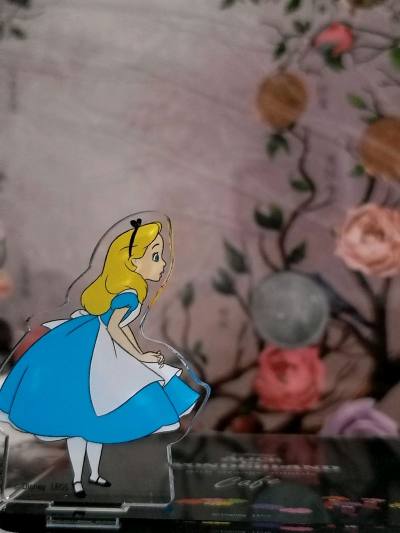 切了一些动画电影的周边，很快到货，走竹蜻蜓一般十天之内都可以。内容主要是我最喜欢的两部迪士尼电影，爱丽丝梦游仙境and疯狂动物城的，很喜欢挖一些这种精致的小立牌，国内又不一定能买到或者集到全套，特别是疯狂动物城的pita扭蛋系列，也是让我吃到喜欢的柄图了，个人还挖到...