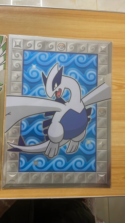 宝可梦 魂银 金心 神兽 神鸟 文件夹 御三家 pokemon center 中心发售的文件夹 全新未拆 挖煤姬的打包给力 感谢挖煤姬